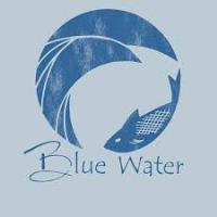 Blue Water Marketing image 4
